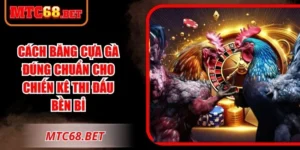 Cách Băng Cựa Gà