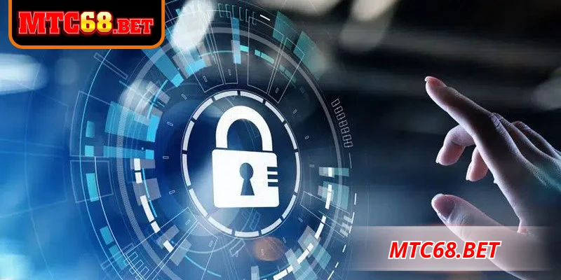 Quyền lợi và trách nhiệm người dùng trong nội dung chính sách bảo mật