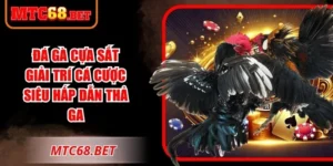 Đá Gà Cựa Sắt
