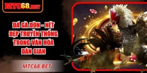 Đá Gà Đòn