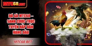 Đá Gà MTC68 – Sảnh Cược Đá Gà Trực Tuyến Hấp Dẫn Top #1