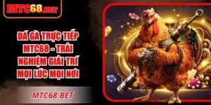 Đá Gà Trực Tiếp