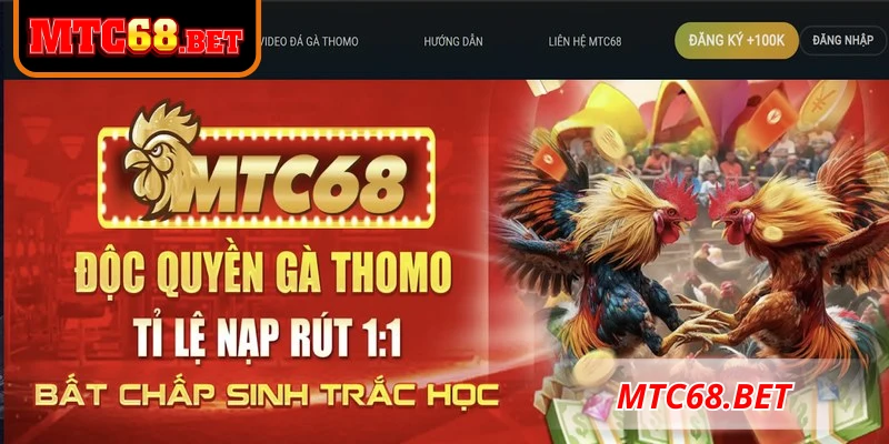 Lợi ích nhận được khi đăng ký MTC68 thành công