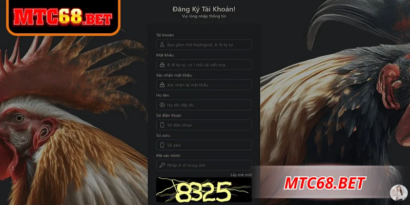 Xác minh tài khoản và bảo mật giúp bảo vệ tài khoản, ngăn chặn gian lận