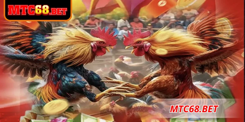 Lợi ích có được khi đăng nhập MTC68