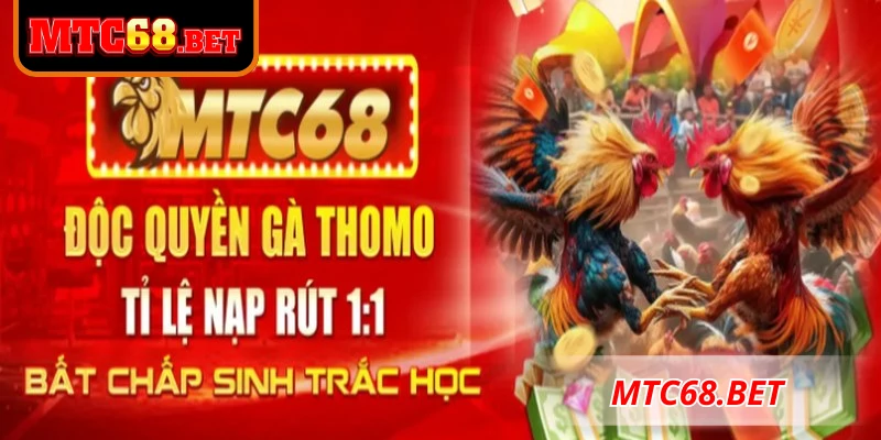 Đánh giá MTC68 là nhà cái uy tín, tin cậy trong làng giải trí