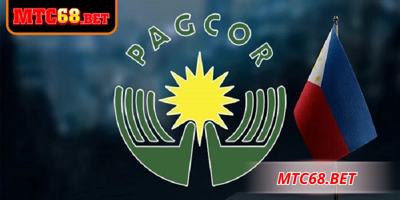Các loại giấy phép hoạt động MTC68 đang sở hữu hiện nay