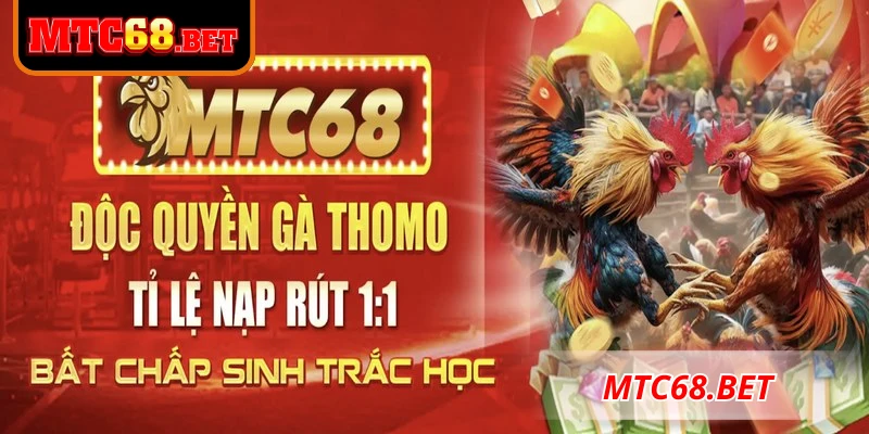 Giới thiệu MTC68 về dấu mốc quan trọng trong hành trình phát triển