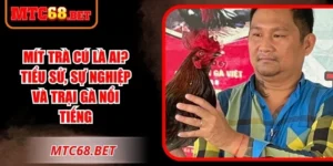 Mít Trà Cú Là Ai