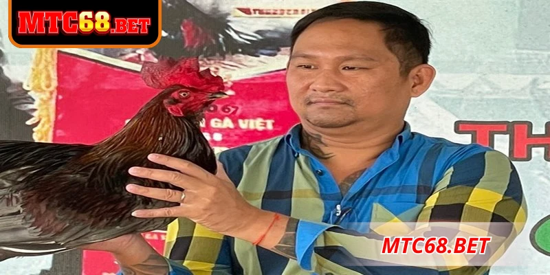 Hoạt động trên mạng và cộng đồng của Mít Trà Cú
