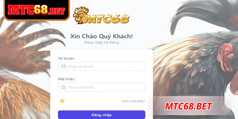 MTC68 là gì? Nền tảng giải trí trực tuyến uy tín trên thị trường