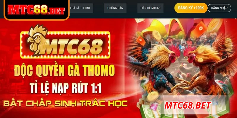 App phù hợp với mọi thiết bị, tạo trải nghiệm siêu mượt mà