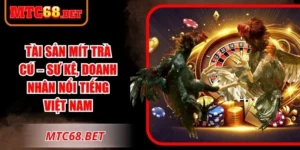 Tài Sản Mít Trà Cú