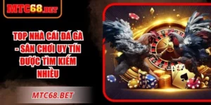 Top Nhà Cái Đá Gà